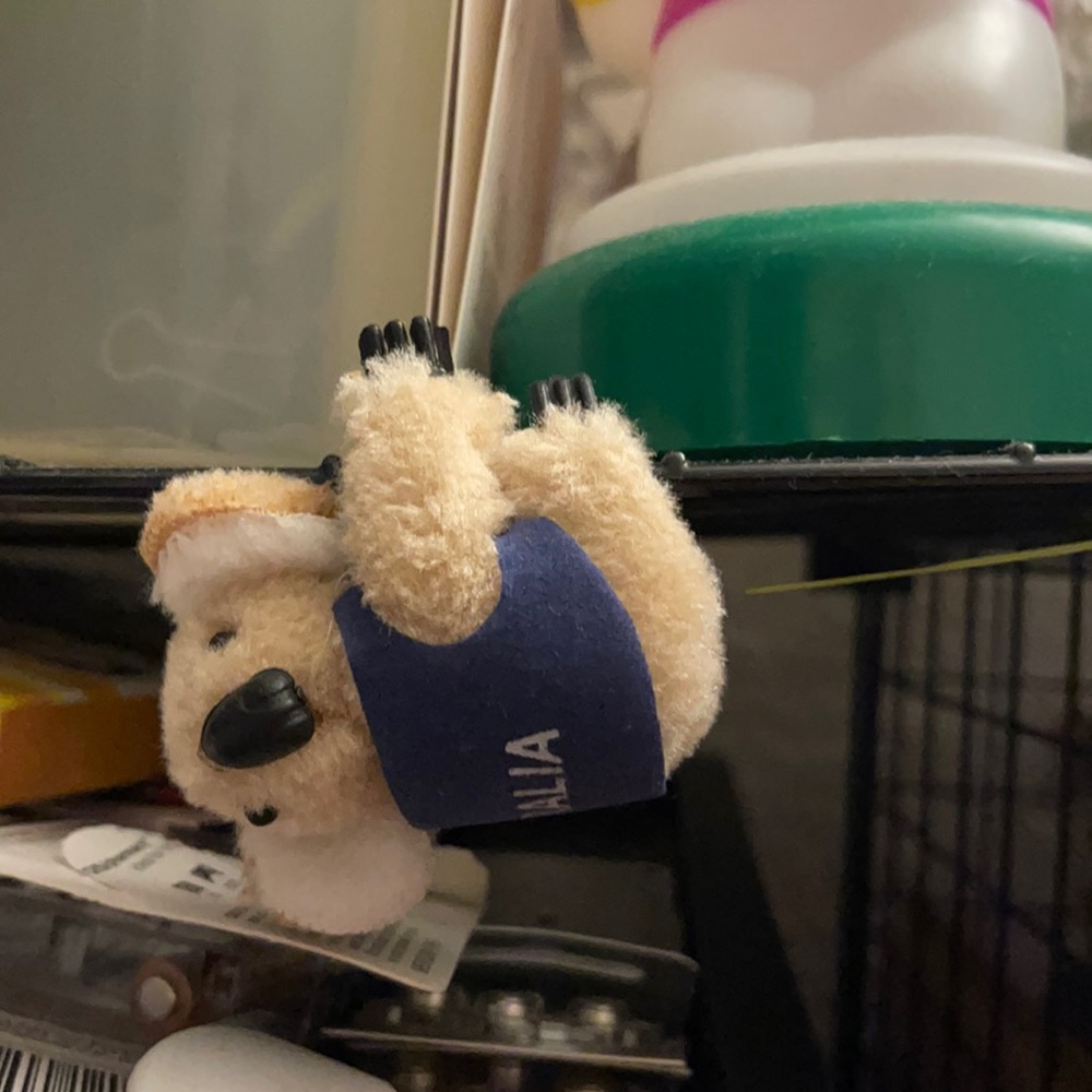 One Clinch koala to wear with you